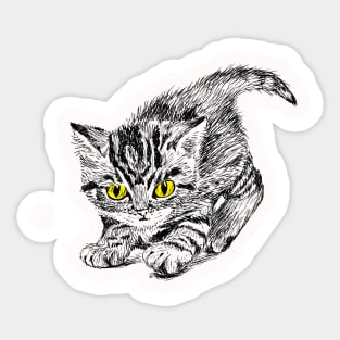 Cute kitten Sticker